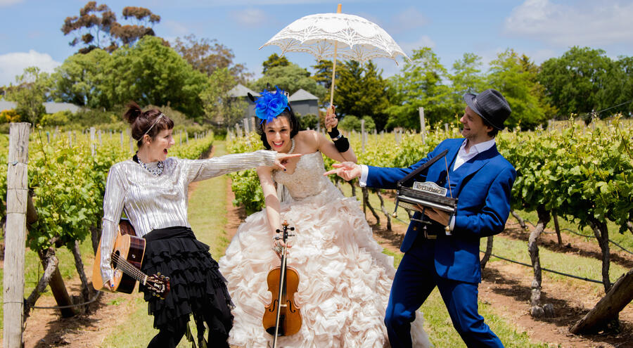 Band in a vineyard with parasol and violin